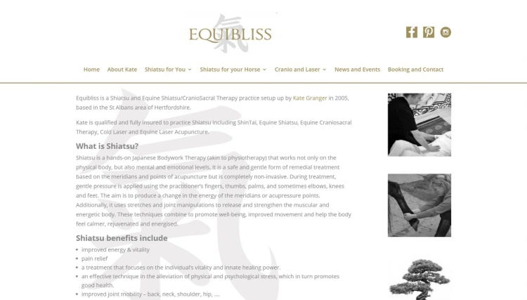 screenshot of equibliss website